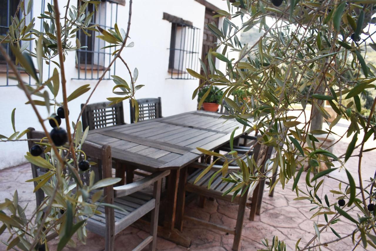 Casa Kisi Cottage, Rural Boutique Bed & Breakfast Colmenar Dış mekan fotoğraf